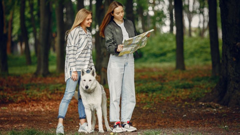 pet guide lwmfpets from lookwhatmomfound